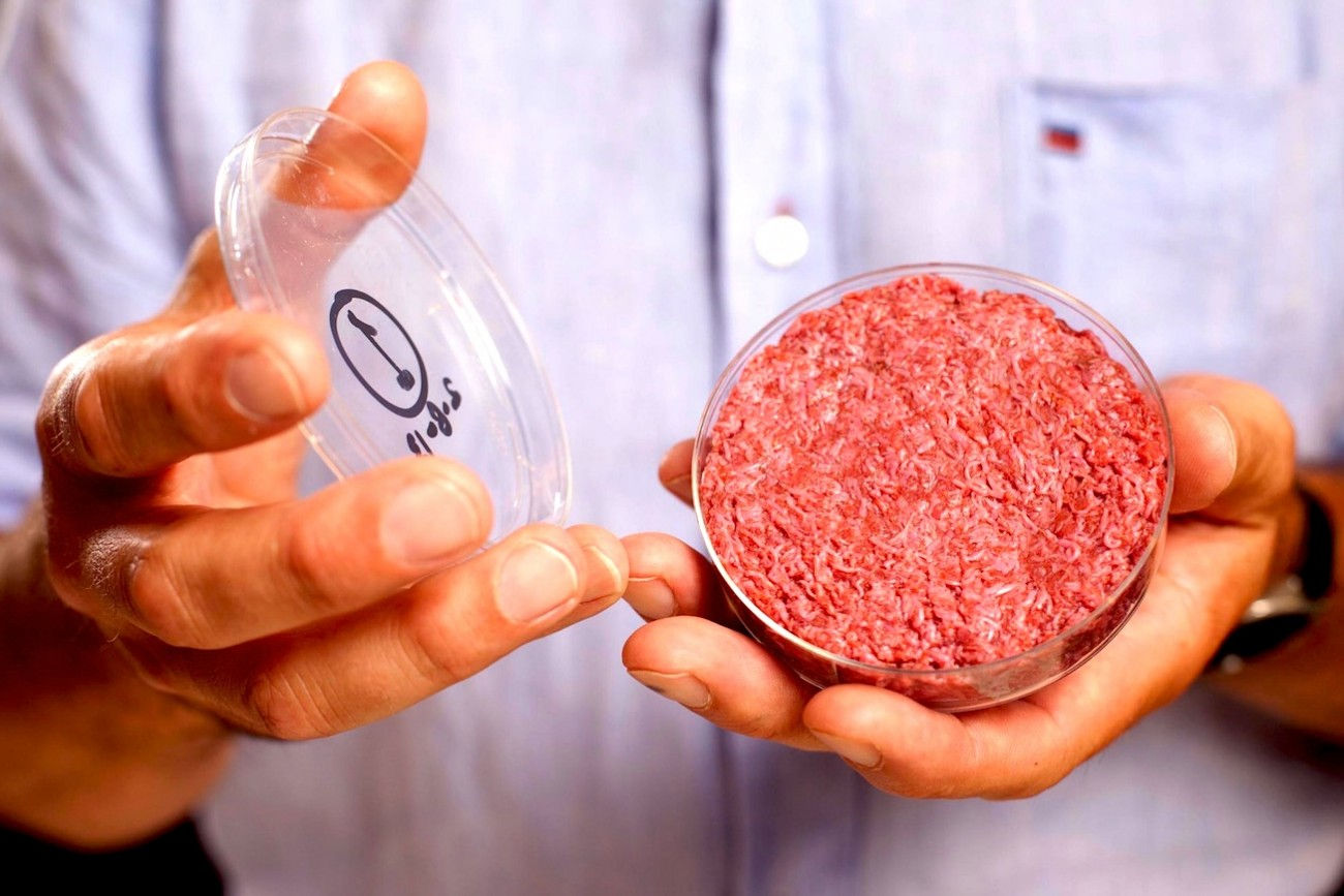 20.-Carne-sintetica-Hamburger-in-vitro-Memphis-Meat-Cruelty-Free-Dotmug